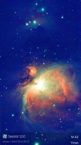 M42 (Orion Neb) - Matt West - December 22, 2024