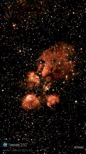 mattwest-catpaw-IMG 9088