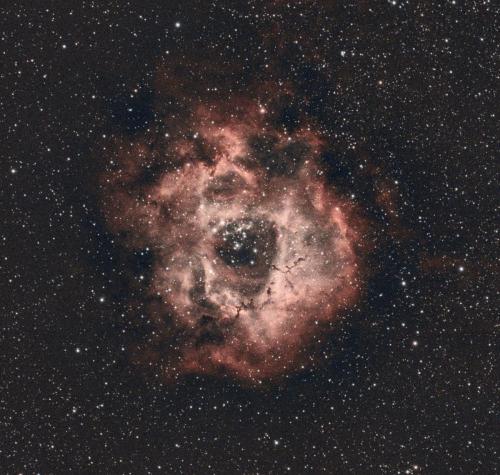 Rosette Nebula - Gary Nichols