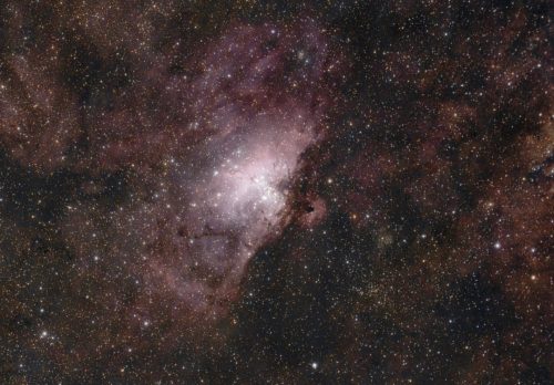 timMiller-0825-2625-M16-fl416mm-iso500-4h28mCloseCropScaled