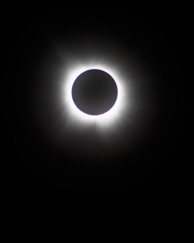 totality corona final - Amy Cantu