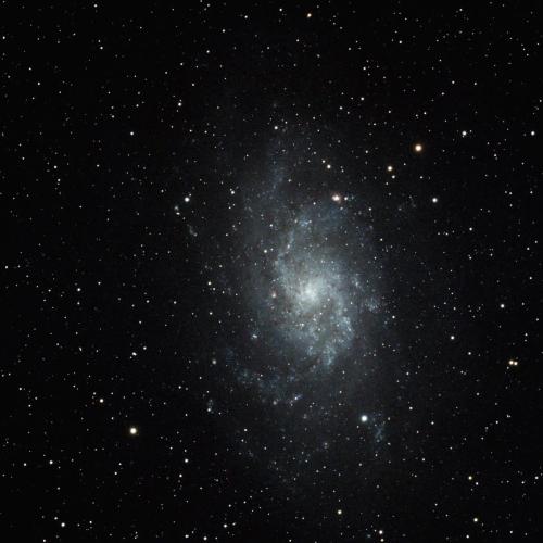 Triangulum Galaxy - Barry Chapman - Nov 24, 2023