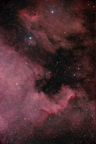 North America Nebula & Pelican Nebula - Brian Wait - August 15, 2023